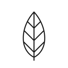 leaf line icon. eco and environment symbol. botanical and nature design element. isolated vector image