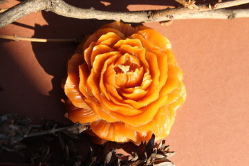 Beeswax candles, DIY hobby, startup business, handmade 