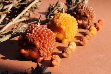 Beeswax candles, DIY hobby, startup business, handmade 