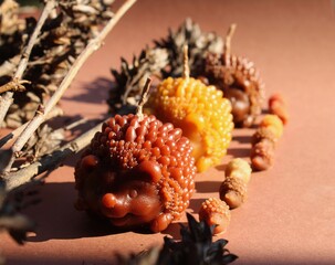 Beeswax candles, DIY hobby, startup business, handmade 