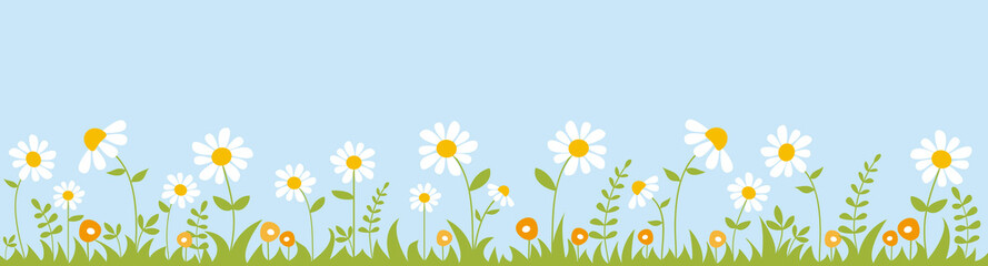 Spring garden. Panoramic background with daisies, plants and grass. Vector illustration.