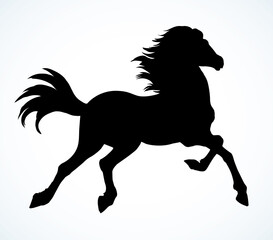Fototapeta na wymiar Galloping horse. Vector drawing icon