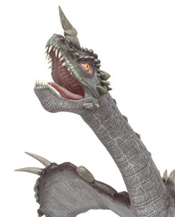 stone dragon close up view on the head