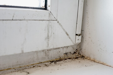 Mold and dirt on the windowsill. Dirty plastic window and window sill. Close view. Shallow depth of...