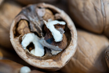 walnuts in the basket