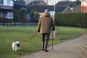 Old man with  walking sticking walking  a dog on a lead in England on a cold day