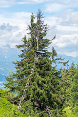 Wooden observation pulpit, hunting tower on the tree house. Beautiful nature in the Austrian Alps. Zauchensee, Flachauwinkl during summer. Mountain landscape of the Zauchenseeregion - 488233422
