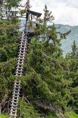 Wooden observation pulpit, hunting tower on the tree house. Beautiful nature in the Austrian Alps.  - 488233453