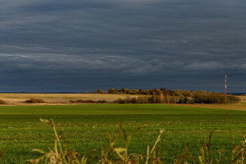Green And Yellow Field Under