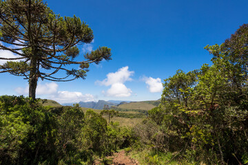 Landscape of the Espraiado Canyon in Urubici, Santa Catarina, Brazil.
