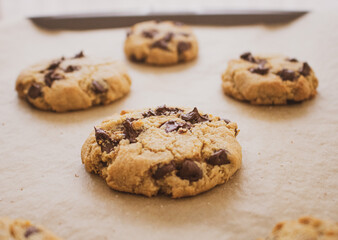 chocolate chip cookies