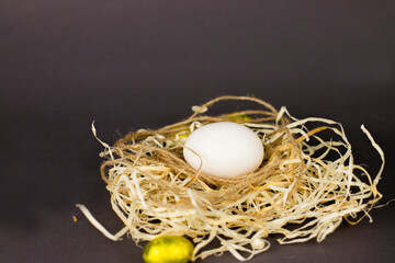 chicken egg on a black background in the nest
