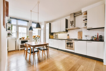 Cozy well designed modern kitchen interior with all appliances