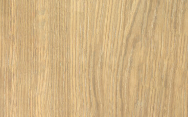 Crown cut natural oak wood veneer vertical grain