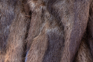 Brown beaver fur coat for background close up,women's winter fur coat