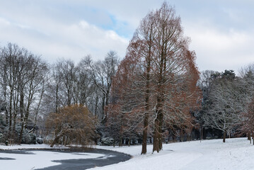 Bare trees and snow landscapes in a Brussels park during winter
