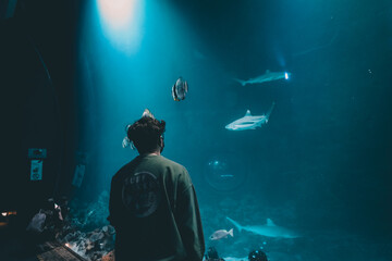 person in the aquarium watching sharks
