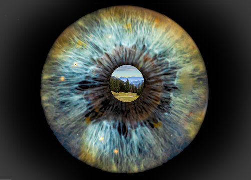 Iris, Regenbogenhaut mit Landschaft in der Pupille