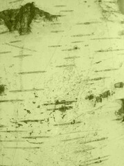 green paint background