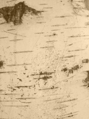 Fototapeta premium texture of the sand