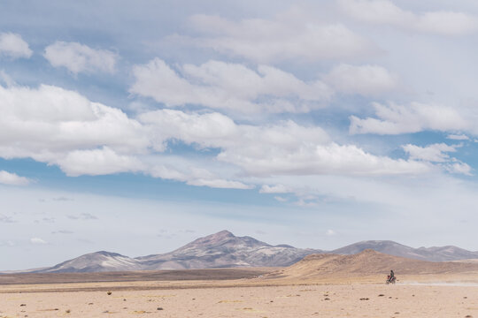 desert of arequipa pampas galeras vicu&ntilde;as national reserve in the andes mountain range on a sunny day with clouds and blue sky