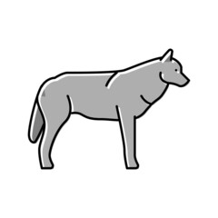 Fototapeta premium wolf wild animal color icon vector illustration