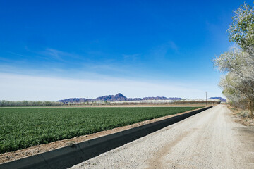 Fototapeta na wymiar Straight gravel roads, fields and trees in Cibola, in the floodplains of the lower Colorado River, Arizona, USA, on the border with California. 