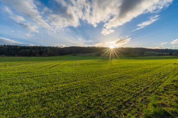 Landwirtschaft im Februar in der Schweiz. Feb. 19 2022 14mm HDR