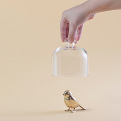 Golden Bird with hand holding a glass bell. Simple square composition on beige yellow background.