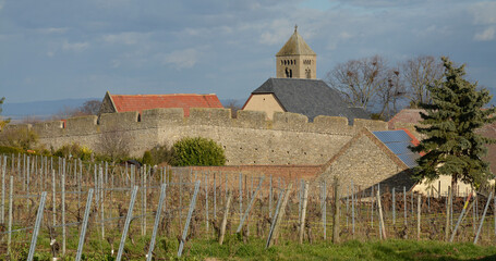 fl&ouml;rsheim-dalsheim mit fleckenmauer