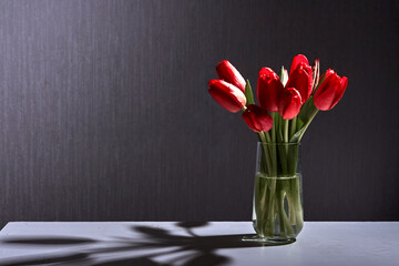 Dark red tulips on a black background