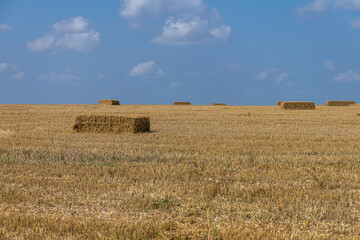 Obraz premium Square hay bales in a field