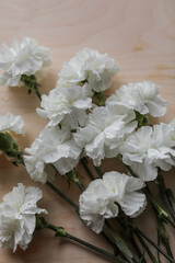 White tender carnations and drops of water on the table. Bouquet of resistant light flowers