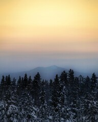 Misty mountain silhouette behind Swedish winter forest