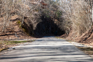 Trail leading to dark area