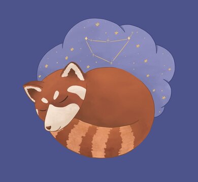 Cute Red Panda Images Browse 48 Stock Photos Vectors And Video Adobe Stock