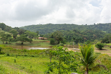 Vista de floresta com lago à frente