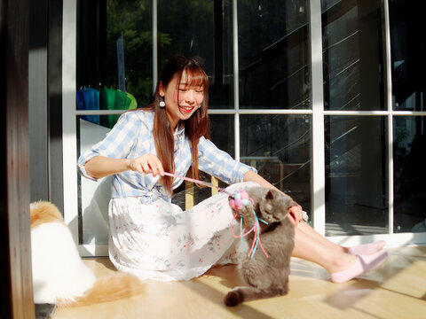Portrait of Chinese young girl play with several cats at home in sunny afternoon, focused on woman's face, happy pets lifestyle.