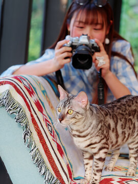 Young Asian woman sitting on sofa and taking photos for her tabby cat in sunny afternoon, beautiful Chinese girl use camera at home, focused on the tabby cat.