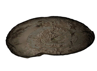 very old trilobite fossil, 3D illustration