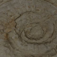 very old trilobite fossil, 3D illustration