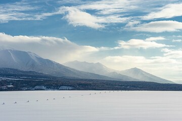 Fototapeta na wymiar 北海道・美瑛町 冬の雪原と十勝岳連峰の風景
