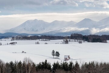 北海道・美瑛町 冬の十勝岳連峰と赤い屋根の家のある丘の風景