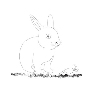 Cute bunny rabbit line art vector drawing, hand drawn minimalism style. Vector illustration