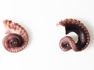 Two tentacles with suckers of a marine animal - an octopus on a white background. High angle view. Cooking, healthy vegetarian seafood dishes, gourmet food, restaurant cuisine.
