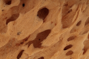 Similar texture of beige natural sponge. Sponge texture background, close-up. Natural sponges, macro.