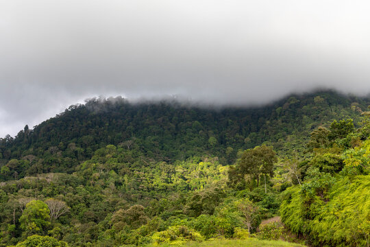 Treetops and clouds over the rainforest in Costa Rica