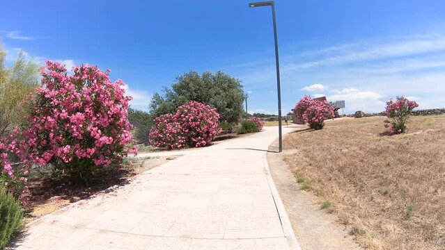 a cobbled path at Proserpina Roman Dam next to Merida, province of Badajoz, Extremadura, Spain - dolly forward