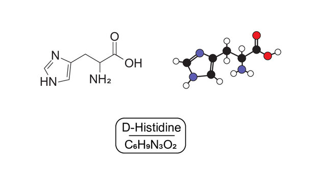 Amino Acid Histidine Molecule