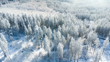 aerial view of a german forest covered with snow during winter